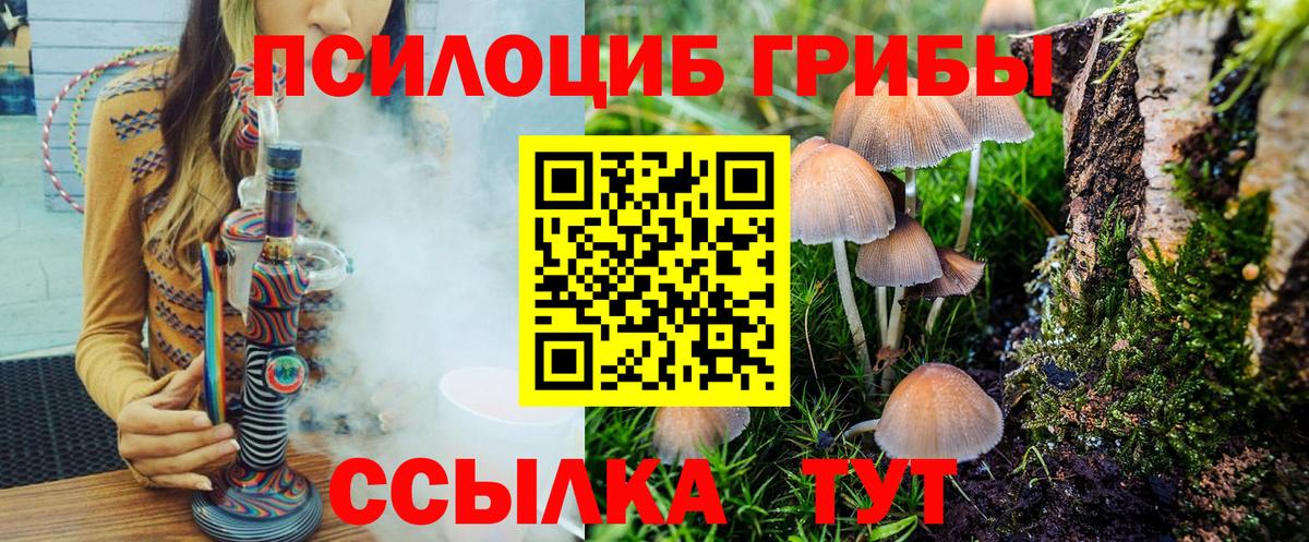 Псилоцибиновые грибы MAGIC MUSHROOMS  Вход с VPN  Южно-Сахалинск 